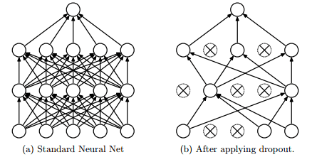 DL Cycle