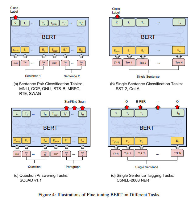 bert-fine-tuning