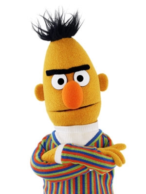 bert